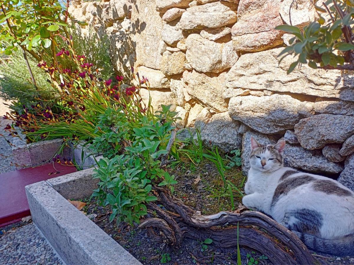 Jardim Da Rosa Pensionat Monção Exteriör bild